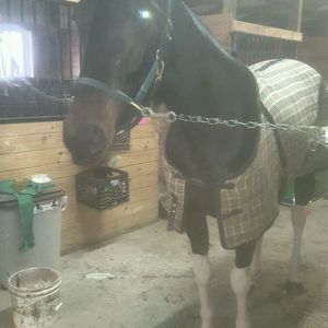 Meet your Posher, Wilda